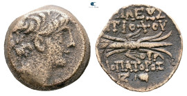 Seleukid Kingdom. Antioch on the Orontes. Antiochos IX Philopator (Kyzikenos) 114-95 BC. 
Bronze Æ

18 mm, 5,63 g



Very Fine