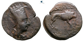 Kings of Commagene. Samosata. Antiochos I Theos 69-34 BC. 
Bronze Æ

20 mm, 4,44 g



Nearly Very Fine