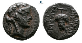 Seleucis and Pieria. Apameia circa 100-50 BC. 
Bronze Æ

12 mm, 2,16 g



Very Fine