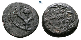 Judaea. Jerusalem. John Hyrcanus I 135-104 BC. 
Prutah Æ

14 mm, 1,98 g



Very Fine