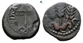 Judaea. Jerusalem. Herodians. Agrippa I AD 37-43. 
Prutah Æ

16 mm, 2,61 g



Very Fine