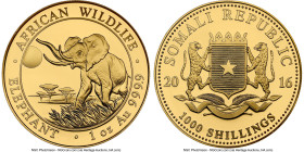 Republic gold "Elephant" 1000 Shillings (1 oz) 2016 MS70 NGC, Munich mint, KM263. African Wildlife Series. HID09801242017 © 2024 Heritage Auctions | A...