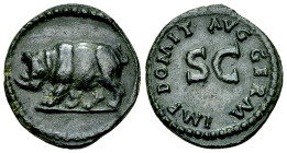 Domitianus AE Quadrans, Rhinoceros