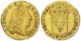 Louis XIV, AV Louis d'or à l'écu 1691 G, Poitiers