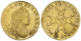 Louis XV, AV Louis d'or à la croix Chevalier 1719 W, Lille