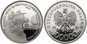 Próba NIKIEL 100.000 złotych 1991 Narwik