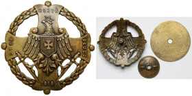 Odznaka, Za Wołyń - Styr Horyń Słucz - 1919