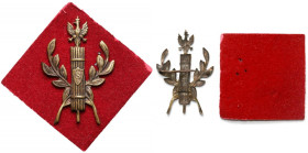 Oznaka szkolna? - Fasces z orłem, z tarczą z literą S