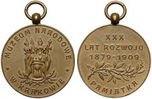 Medal, Muzeum Narodowe w Krakowie - XXX lat rozwoju 1909 RR