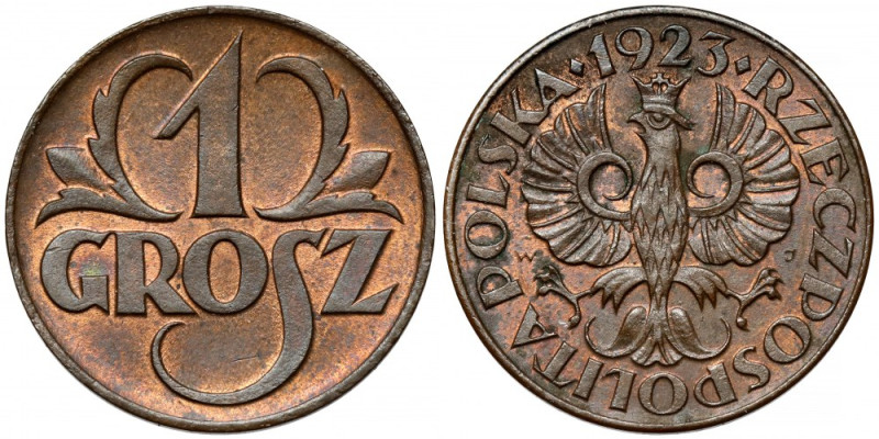 1 grosz 1923 Piękne.
Reference: Chałupski 2.1.1.a, Parchimowicz 101.a
Grade: A...