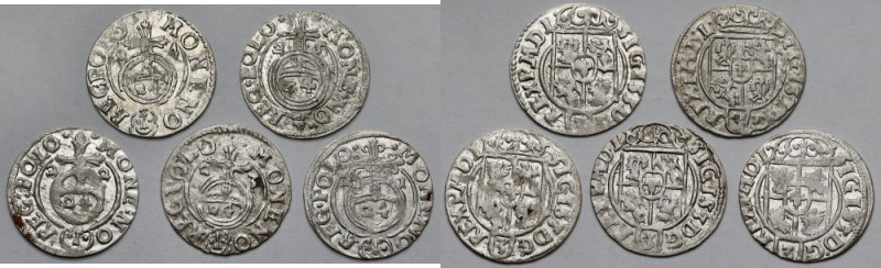 Zygmunt III Waza, Półtoraki 1621-1625 - zestaw (5szt) Dużo pięknych. 


Grade...