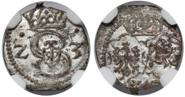 Zygmunt III Waza, Denar Łobżenica 1623 - tarcze ozdobne R4
