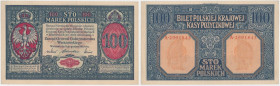 100 mkp 1916 Generał - A 299... 843