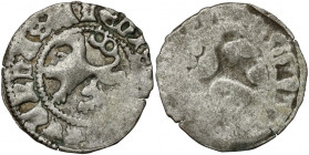 Czechy, Władysław II Jagiellończyk (1471-1516) Halerz jednostronny