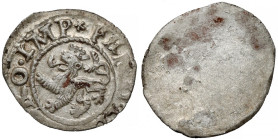 Czechy, Ferdynand I, Weiss-Pfennig bez daty (1526-1532)
