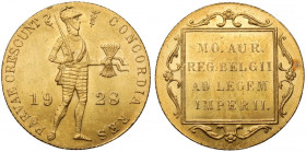Niderlandy, Dukat 1928