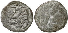 Saksonia, Albrecht / Wilhelm III (1465-82) Halerz
