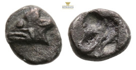 MYSIA. Kyzikos. Obol ( Circa 600-550 BC). 0,56 g. 8,2 mm. Obv: Tunny head left over tunny. Rev: Quadripartite incuse square.
