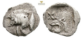 Greek MYSIA, Kyzikos (Circa 450-400 BC) AR obol
Obv: Forepart of boar left; to right, tunny upward.
Rev: Head of roaring lion left; 0,36 g. 9,5 mm.