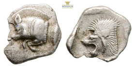 Greek MYSIA, Kyzikos (Circa 450-400 BC) AR obol
Obv: Forepart of boar left; to right, tunny upward.
Rev: Head of roaring lion left; 0,78 g. 11,8 mm.