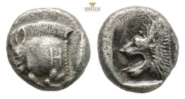 Greek MYSIA, Kyzikos (Circa 450-400 BC) AR obol
Obv: Forepart of boar left; to right, tunny upward.
Rev: Head of roaring lion left; 1,1 g. 9,5 mm.