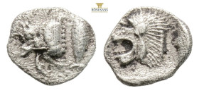 Greek MYSIA, Kyzikos (Circa 450-400 BC) AR obol
Obv: Forepart of boar left; to right, tunny upward.
Rev: Head of roaring lion left; 0,89 g. 8,5 mm.