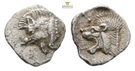MYSIA, Kyzikos. 525-475 BC. AR obol (9,3 mm, 0.38 g). Forepart of boar, tunny-fish behind / Head of lion in shallow incuse square.