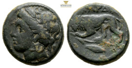 THRACE. Kardia. Circa 350-309 BC. AE (Bronze, 19,2 mm, 7.6 g, ). Head of Persephone to left, wearing wreath of grain ears. Rev. KAPΔIA Lion walking le...