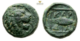 Thrace, Kardia Æ Circa 357 / 309 BC. 10 mm, 1,3 g. Head of roaring lion to right / Barley grain, KAP-ΔΙΑ around; all within square frame.