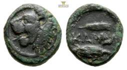 The Thracian Chersonese. Cardia 357-309 BC.
Bronze Æ, 12 mm, 1,3 g
Lion standing left / ΚΑΡΔΙΑ, barleycorn within square frame.