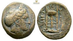 MYSIA, Kyzikos, c. 3rd century BCE, AE 4,8 g, 18.4 mm.
Obv: Head of Kore Soteira wearing corn-wreath and sakkos right.
Rev: K-Y / Z-I, Tripod; tunny b...