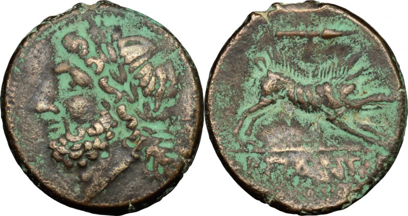 Greek Italy. Northern Apulia, Arpi. AE 22 mm., 325-275 BC. D/ Laureate head of Z...