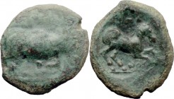 Greek Italy. Northern Apulia, Arpi. AE 23 mm. c. 275-250 BC. D/ Bull butting right; below, traces of legend [ΠYΛΛI?]. R/ APΠA/NOY. Horse prancing righ...