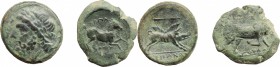 Greek Italy. Northern Apulia, Arpi. Multiple lot of two (2) AE coins, 325-250 BC. HN Italy 642. HN Italy 645. AE. Green patina VF.