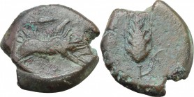 Greek Italy. Northern Apulia, Ausculum. AE 21 mm. c. 300-275 BC. D/ Boar charging right; above, sperahead; in exergue, [AYCKΛIN..]. R/ Barley-ear with...