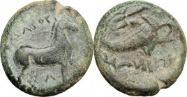 Greek Italy. Northern Apulia, Salapia. AE 19 mm. c. 275-250 BC. D/ Horse stepping right; above, ΔAIOY; below, A. R/ Dolphin right; above, trident left...