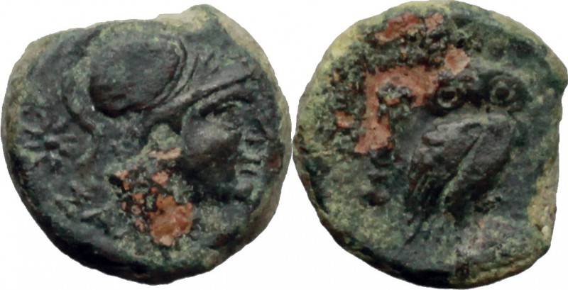 Greek Italy. Northern Apulia, Salapia. AE 13.5 mm. c. 225-210 BC. D/ Head of Ath...
