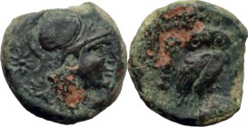 Greek Italy. Northern Apulia, Salapia. AE 13.5 mm. c. 225-210 BC. D/ Head of Athena right, wearing Corinthian helmet; to left, star and ΣAΛ. R/ Owl st...