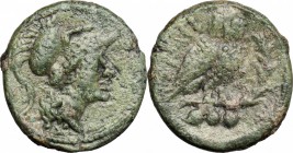 Greek Italy. Northern Apulia, Teate. AE Teruncius, c. 225-200 BC. D/ Helmeted head of Athena right. R/ TIATI. Owl standing right, head facing, on palm...