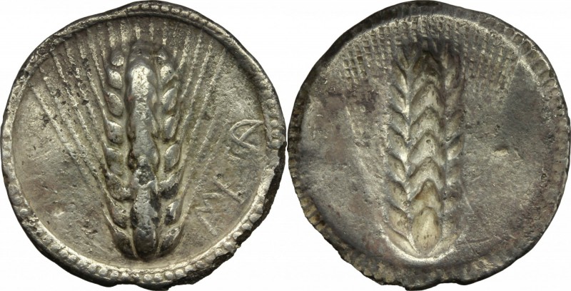 Greek Italy. Southern Lucania, Metapontum. AR Stater, c. 540-510 BC. D/ Ear of b...