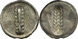 Greek Italy. Southern Lucania, Metapontum. AR Stater, c. 540-510 BC. D/ Ear of barley with eight grains. R/ META. Incuse ear of barley with eight grai...