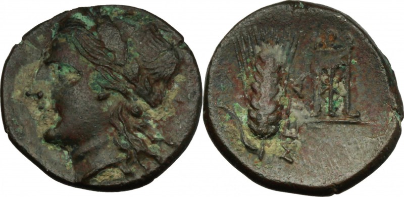 Greek Italy. Southern Lucania, Metapontum. AE 16 mm. c. 300-250 BC. D/ Laureate ...