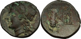 Greek Italy. Southern Lucania, Metapontum. AE 16 mm. c. 300-250 BC. D/ Laureate head of Apollo left. R/ META. Grain ear with leaf to left; tripod to r...
