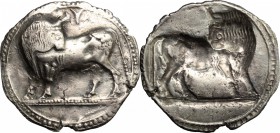Greek Italy. Southern Lucania, Sybaris. AR Stater, c. 550-510 BC. D/ Bull standing left on dotted exergual line, looking back; above, YM. R/ Incuse bu...