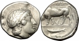 Greek Italy. Southern Lucania, Thurium. AR Stater, c. 443-400 BC. D/ Head of Athena right, wearing Attic helmet decorated with olive-wreath; above viz...