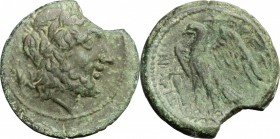Greek Italy. Bruttium, Brettii. AE Unit, c. 214-211 BC. D/ Laureate head of Zeus right; grain ear behind. R/ BPET-TIΩN. Eagle standing left on thunder...