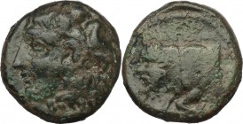 Sicily. Agyrion. Apolloniades tyrant (345-339 BC). AE 14 mm. Circa 336-300 BC. D/ Head of Herakles left, wearing lion skin. R/ Forepart of man-headed ...