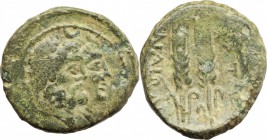 Sicily. Katane. Under Roman Rule (after 212 BC). AE 14 mm. D/ Jugate head of Serapis and Isis right. R/ ΚΑΤΑΝΑΙΩΝ. Two ears of barley. SNG ANS 1275. C...