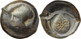 Sicily. Syracuse. Dionysios I (406-367 BC). AE Drachm, c. 380 BC. D/ Head of Athena left, wearing wreathed Corinthian helmet. R/ Sea-star between two ...