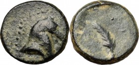 Greek Asia. Pontos, Uncertain. Amisos (?). AE 13 mm. c. 130-100 BC. D/ Head of horse right. R/ Palm frond. Cf. SNG BM Black Sea for types. Cf. HGC 7,3...